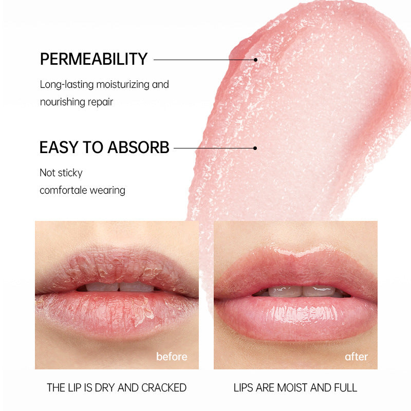 Lip Care Lipstick Fade Lip Lines Lip Balm Moisturizing And Hydrating