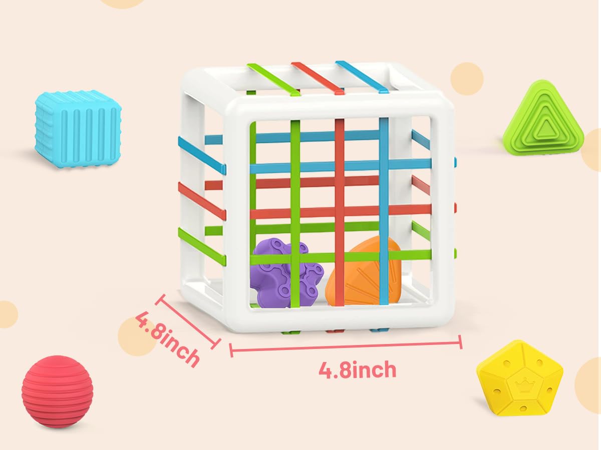 Multi Sensory Shape Montessori Toys