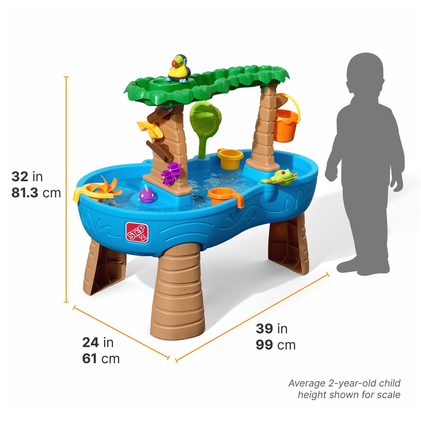 Step2 Tropical Rainforest Water Table,