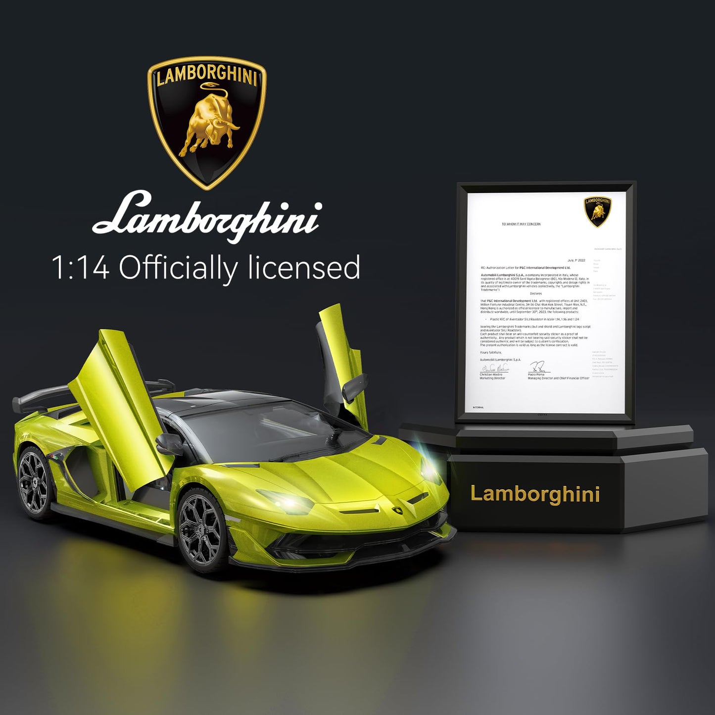 Officially Licensed Mercedes-Benz AMG GT 1:14 RC Race Car