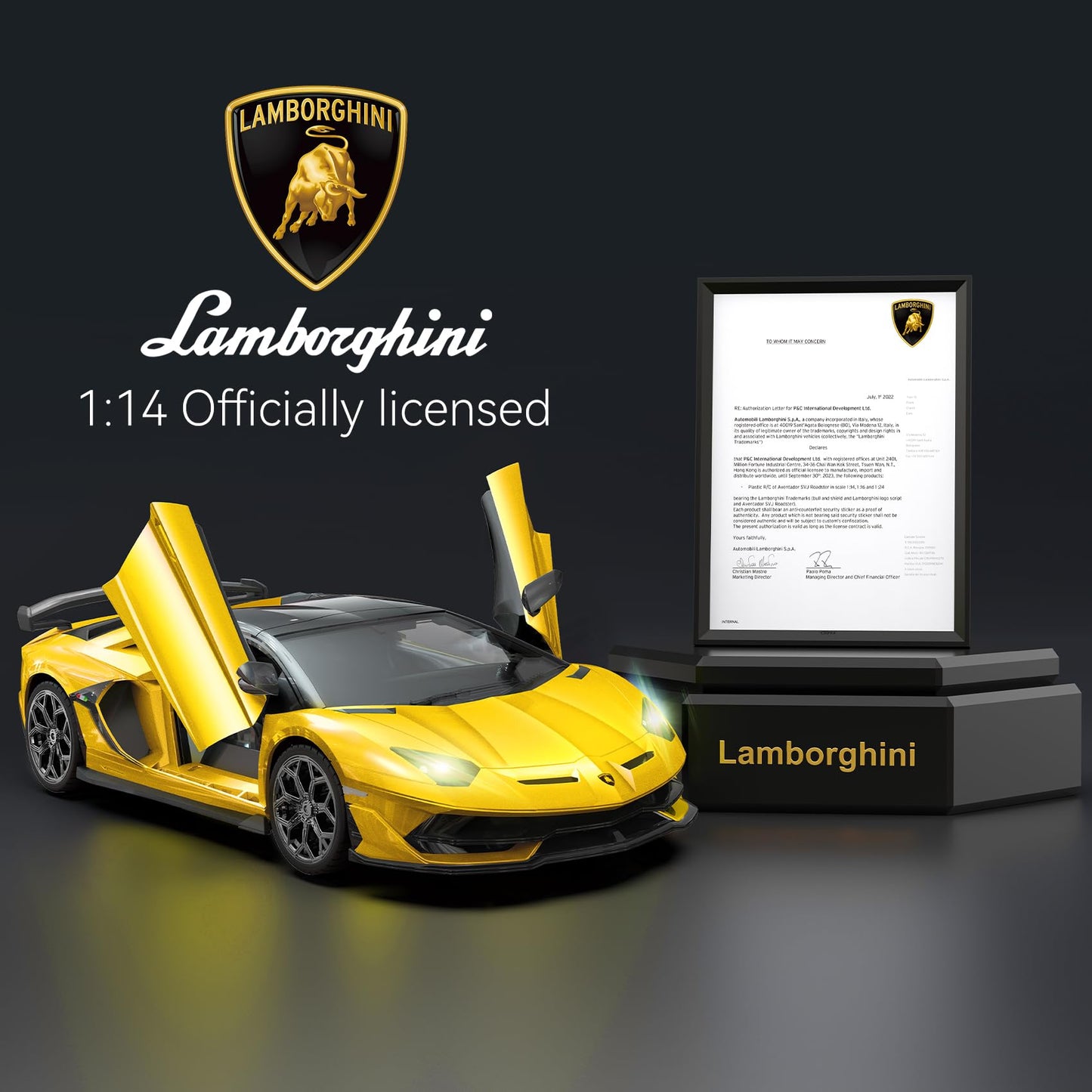 Officially Licensed Mercedes-Benz AMG GT 1:14 RC Race Car
