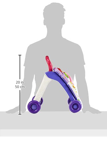 VTech Sit-to-Stand Learning Walker (Frustration Free Packaging)