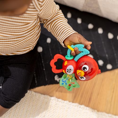 Baby Einstein Take Along Tunes Musical Toy, Ages 3 months +