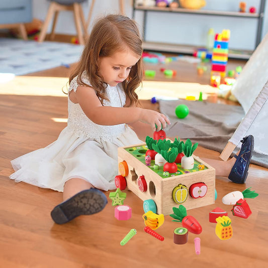 Toddlers Montessori Wooden Educational Toys