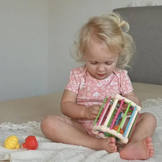 8 in 1 Montessori Toys Set
