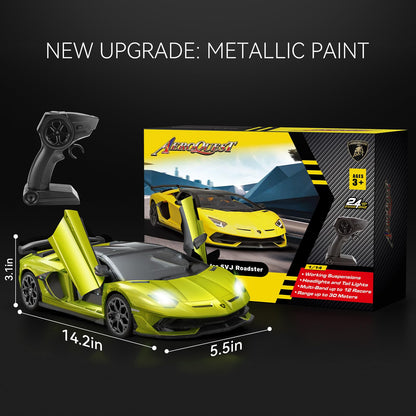 Officially Licensed Mercedes-Benz AMG GT 1:14 RC Race Car