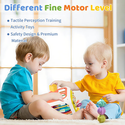 Multi Sensory Shape Montessori Toys