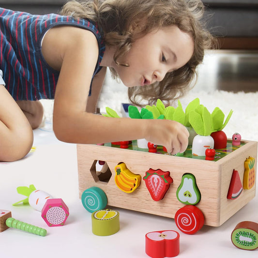 Montessori Toys for 1 and 2 Year Old