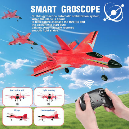 RC Plane, 2.4GHZ RC Airplane