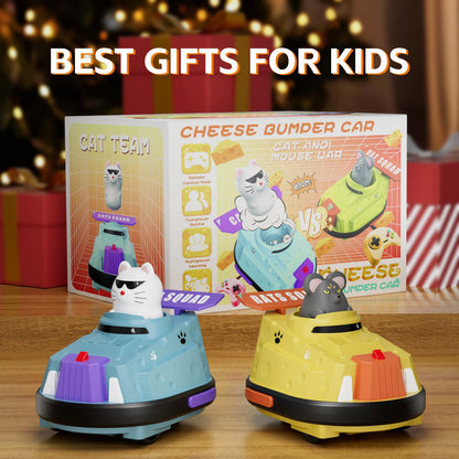 2 Pack Remote Control Car