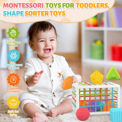 Multi Sensory Shape Montessori Toys