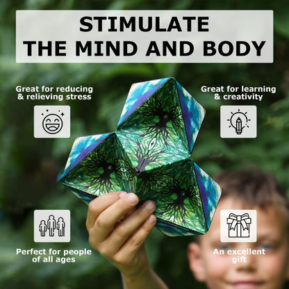 Shashibo Shape Shifting Box - STEM Magnetic Fidget Cube That Transforms Into Over 70 Shapes, Download Fun in Motion Toys Mobile App (Spaced Out)