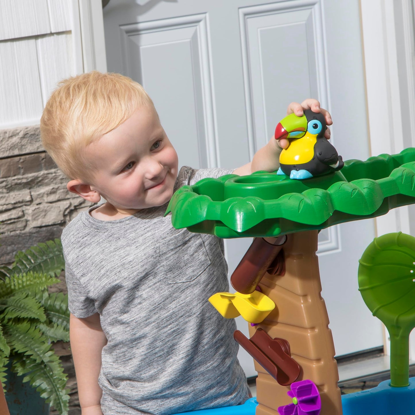 Step2 Tropical Rainforest Water Table,