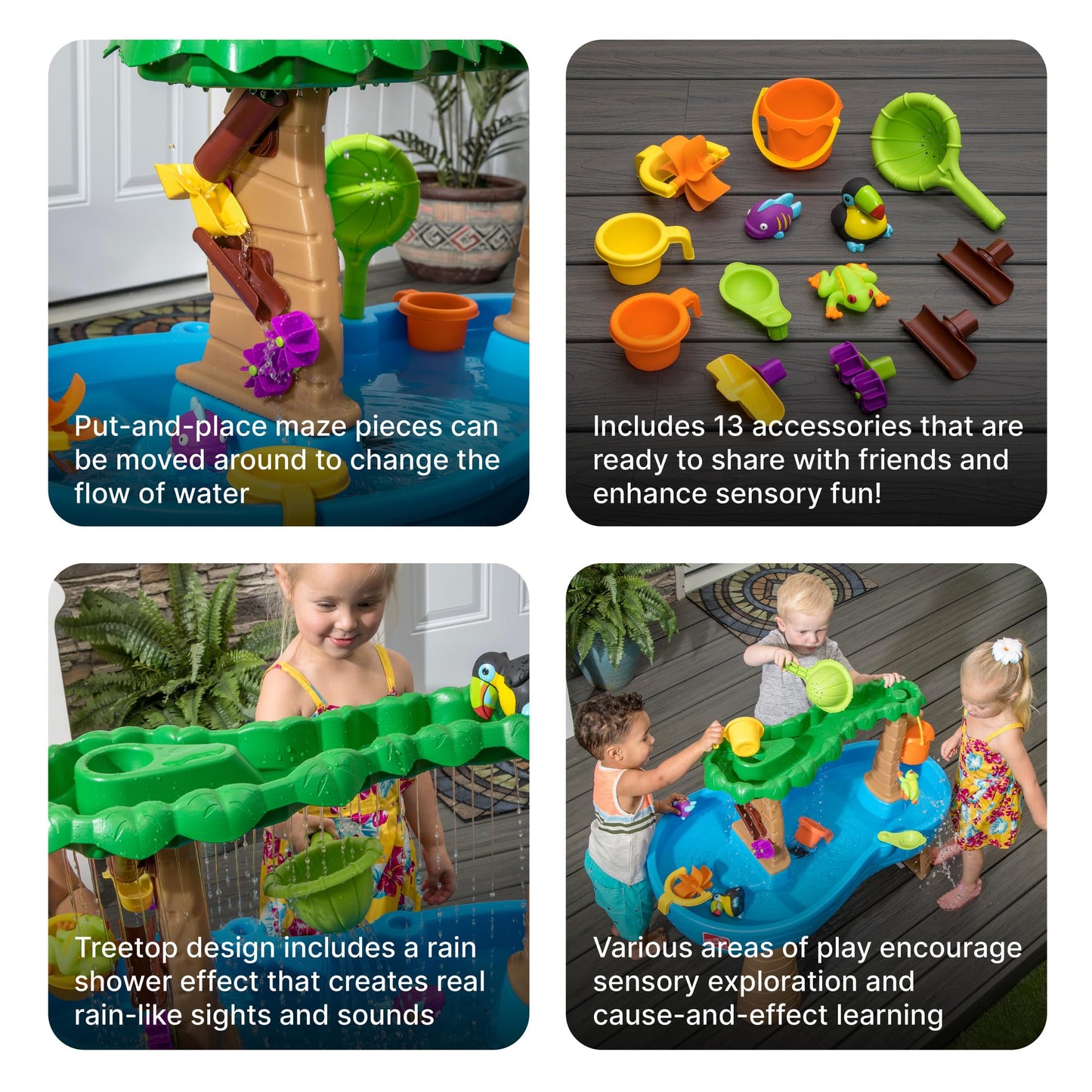 Step2 Tropical Rainforest Water Table,