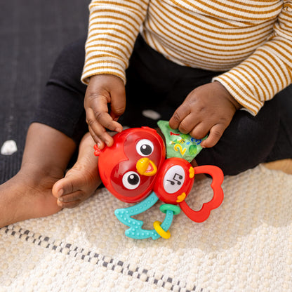 Baby Einstein Take Along Tunes Musical Toy, Ages 3 months +