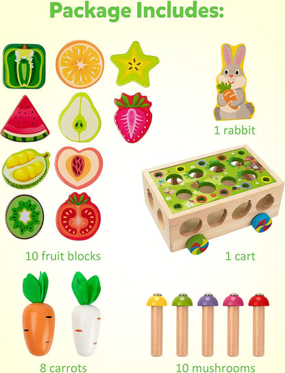 Montessori Fine Motor Toys for Baby Toddler