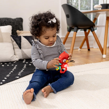 Baby Einstein Take Along Tunes Musical Toy, Ages 3 months +