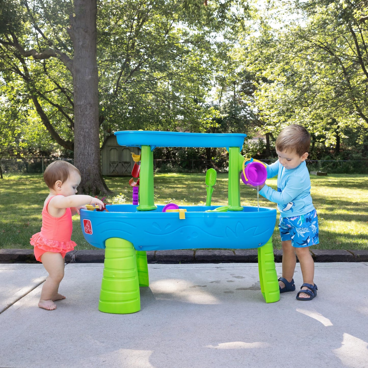 Step2 Tropical Rainforest Water Table,