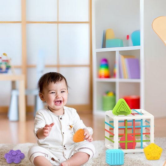 Multi Sensory Shape Montessori Toys