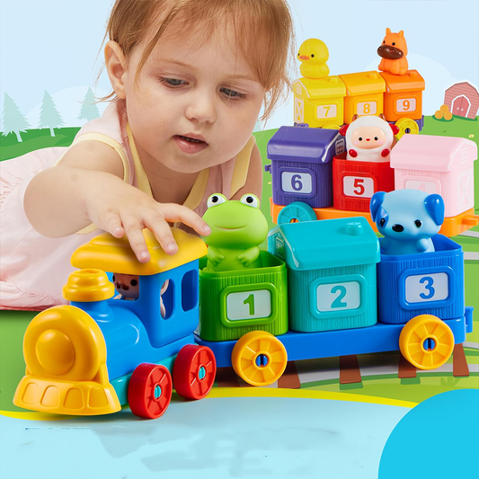 Matching & Sorting Montessori Train Toys
